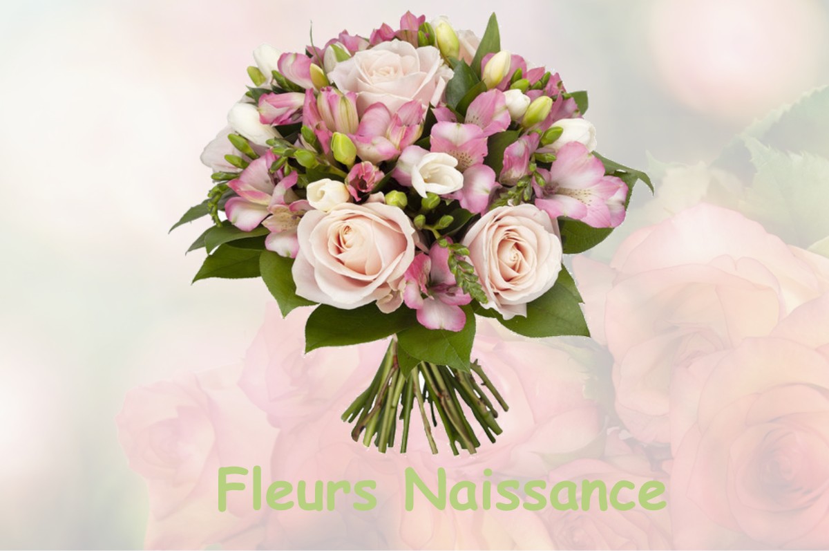 fleurs naissance LA-FERRIERE-DE-FLEE