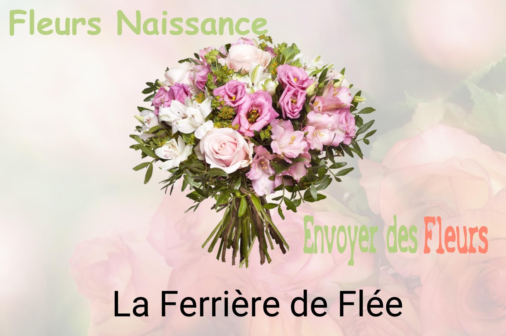 Bouquet de fleurs de naissance livré à La Ferrière-de-Flée